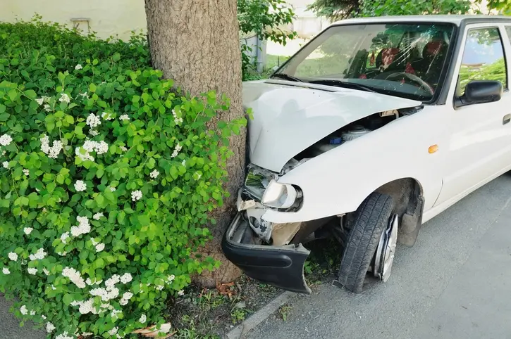 A single-car accident involving a tree.