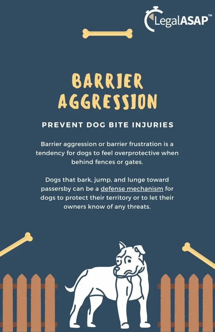 Infographic about what barrier aggression is and why it increases dog bites.